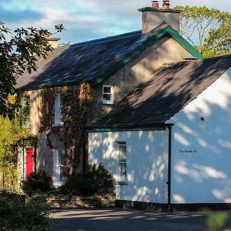 Ballylagan Organic Farm Straid  Luaran gambar