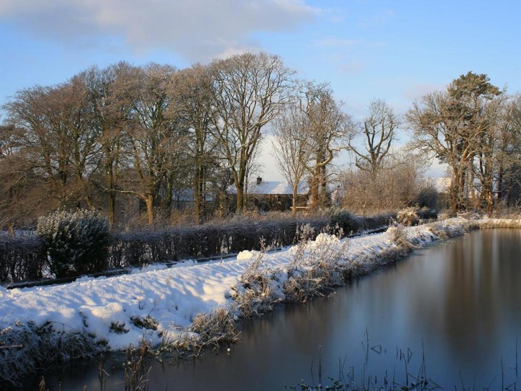 Ballylagan Organic Farm Straid  Luaran gambar