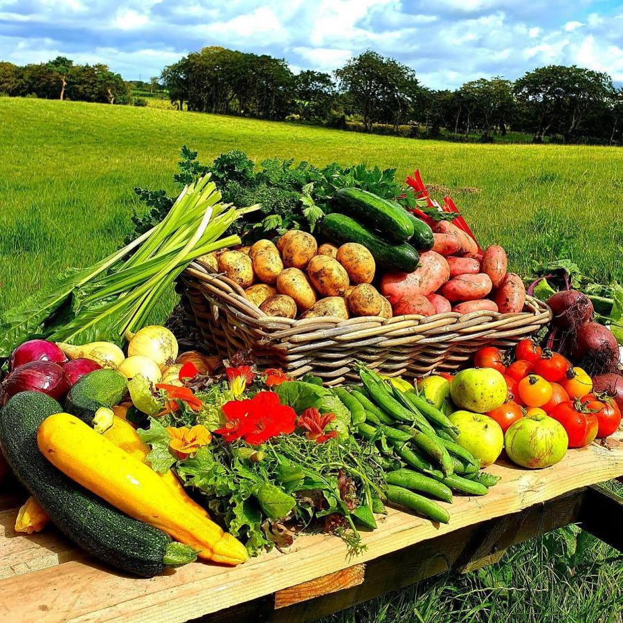 Ballylagan Organic Farm Straid  Luaran gambar