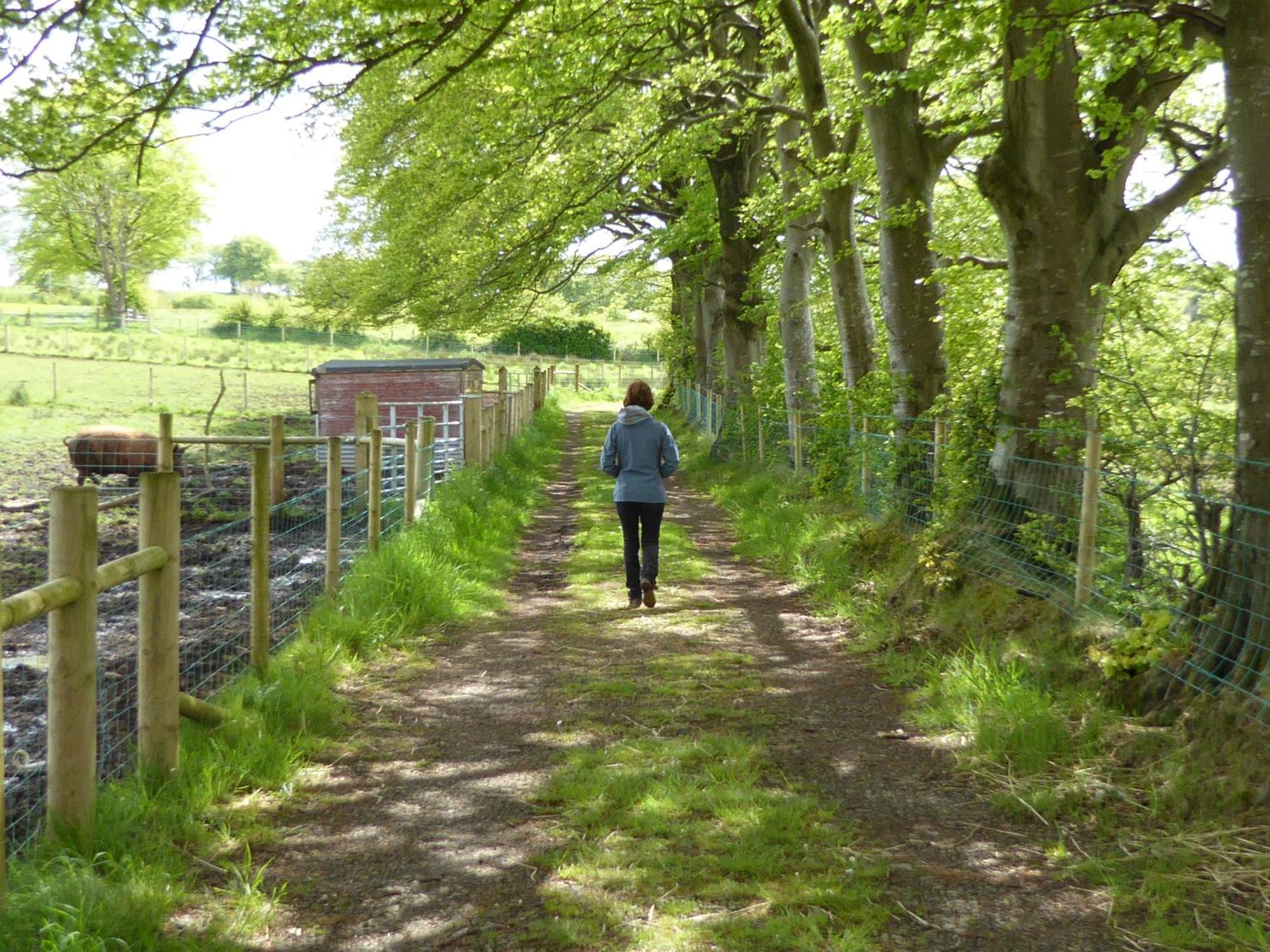 Ballylagan Organic Farm Straid  Bilik gambar